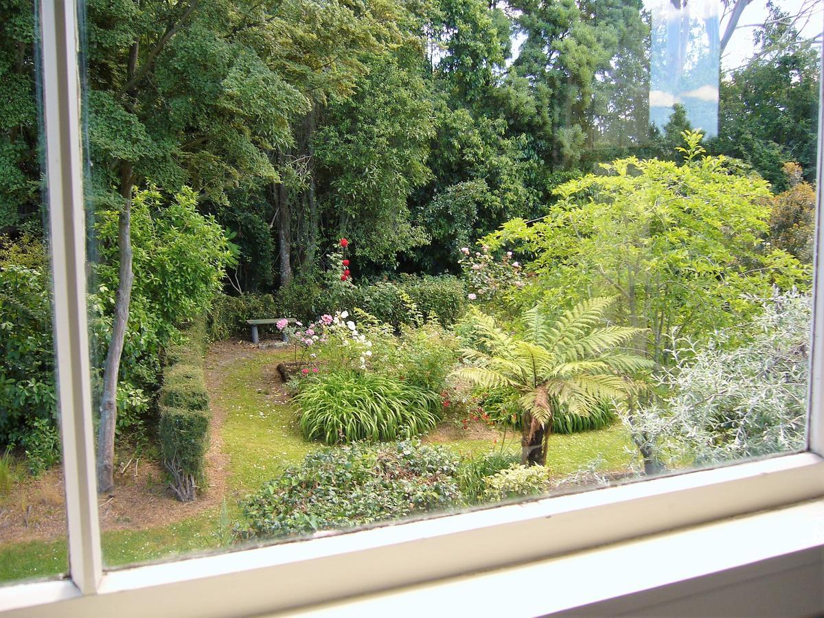 Forest Manor Geraldine Εξωτερικό φωτογραφία